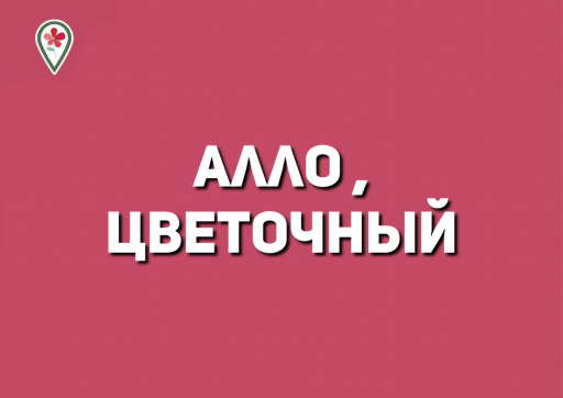 Allo, cvetochnui