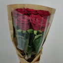 Roses red in craft paper