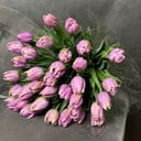 35 tulips