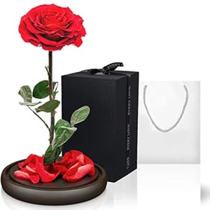 Arrangiamento 'Forever Roses rosse'