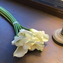 Bouquet 'Enthusiastic feelings'