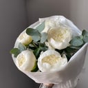 White peonies with eucalyptus