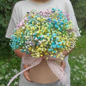 Rainbow gypsophila in box M
