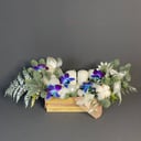 New Year's Composition "Airy"