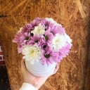 Chrysanthemums in a hat box
