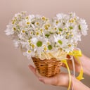 Blumenkorb 'Korb mit Gänseblümchen'