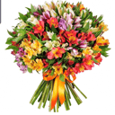 Blumenstrauß 'Bouquet of 31 Alstroemerias'