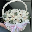 Basket with butterflies from orchids