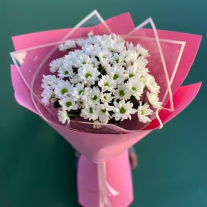 White chrysanthemums