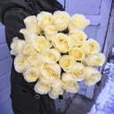 White roses