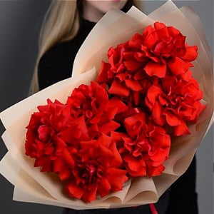 Bouquet of 7 French red roses