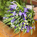 Blumenstrauß 'Bright accent'