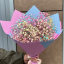 Blumenstrauß 'Colored gypsophila'