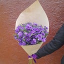 Bouquet of 9 Spray Asters
