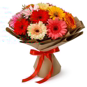 Bouquet of 15 gerberas "Little joys"