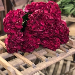 Ramo '9 Burgundy hydrangeas'