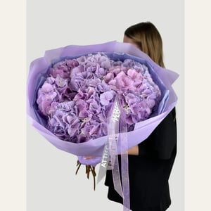 Ten lavender hydrangeas in a lilac wrap