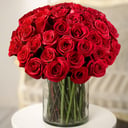 Bouquet '50 premium red roses'