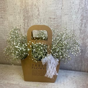 Bag with Baby's Breath