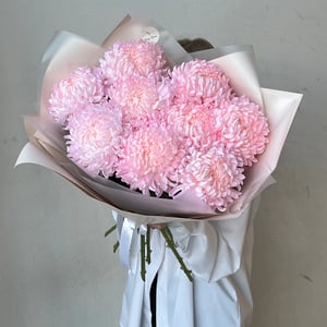 A bouquet of nine pink chrysanthemums.