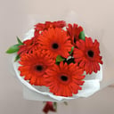 Blumenstrauß 'Scharlachrote Gerberas'