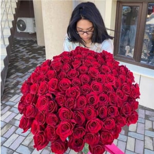 101 Rose Ecuador 60 cm