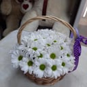 Flower basket 'Not a word'