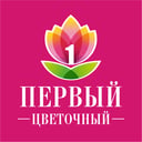 Pervyi Cvetocnyi