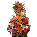 Arrangement 'Exotic blooms paired with a balloon and chocolates.'