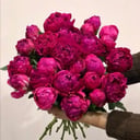 Blumenstrauß 'Peonies'