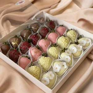 25 Erdbeeren in belgischer Schokolade