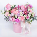 The Princess's Dream