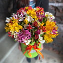 Blumenbox 'Irene Adler'