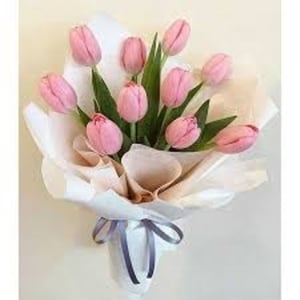 Bouquet of 11 Tulips