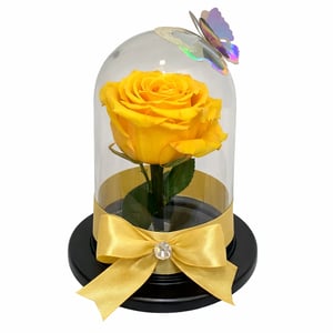 Rosa amarilla en mini domo de vidrio