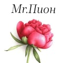 Mr.Peony Flower Salon