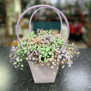 Bouquet 'Gypsophila composition'