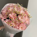 With favorite daisies