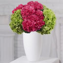 Bouquet 'Tropical holidays: 9 Pink and green hydrangeas'