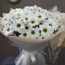Bouquet of Daisies in Packaging