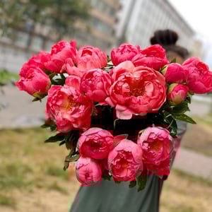 Bouquet '17 coral peonies'