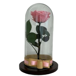 Ewig rosafarbene Rose in einer Glaskuppel