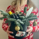 Arreglo floral 'Composición interior con abeto vivo'