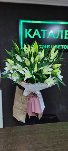 Salon cvetov <<Kataleya>>
