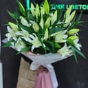 Salon cvetov <<Kataleya>>