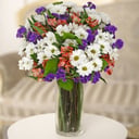 Flower Story: Chrysanthemums and Alstroemerias