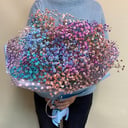 Bouquet of Gypsophila