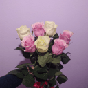 Ramo de 7 rosas blancas y rosadas Ecuador