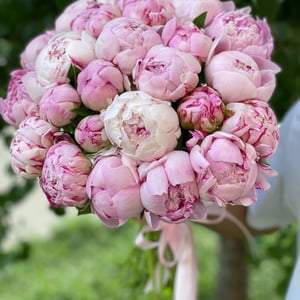 Bouquet of peonies