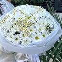 Ramo 'Mañana de manzanilla'